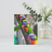 Op zoek naar mij? briefkaart (Staand voorkant)