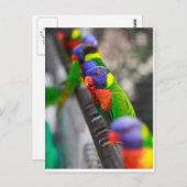 Op zoek naar mij? briefkaart (Voorkant / Achterkant)