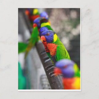 Op zoek naar mij? briefkaart