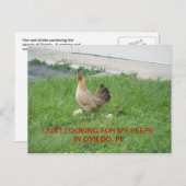 Op zoek naar mijn briefkaarten (Voorkant / Achterkant)