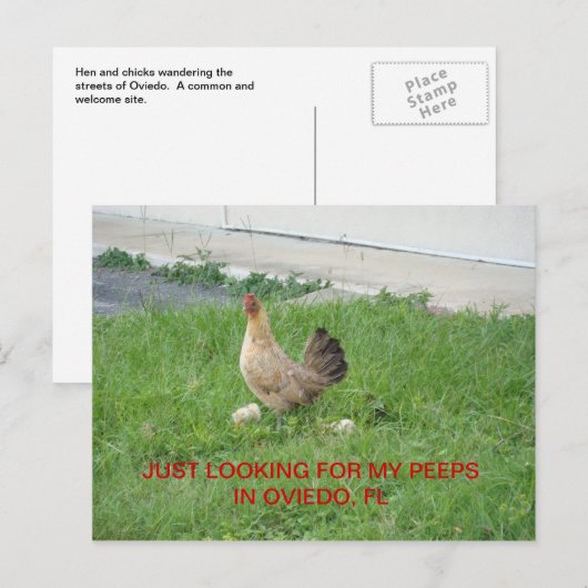 Op zoek naar mijn briefkaarten (Voorkant / Achterkant)