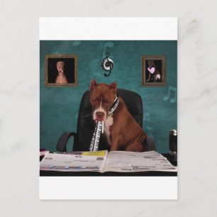 Op zoek naar talent briefkaart