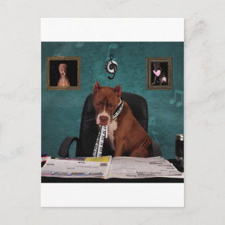 Op zoek naar talent briefkaart