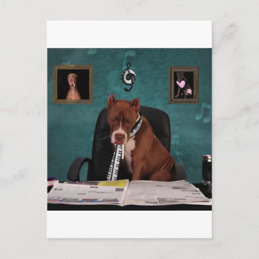 Op zoek naar talent briefkaart (Voorkant)