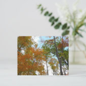 Op zoek naar valleien Ik kleurrijke Herfst Foliage Briefkaart (Staand voorkant)