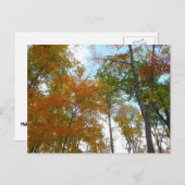 Op zoek naar valleien Ik kleurrijke Herfst Foliage Briefkaart (Voorkant / Achterkant)