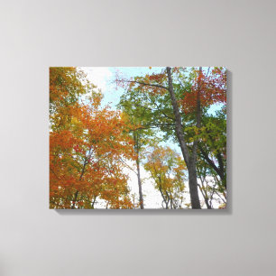 Op zoek naar valleien Ik kleurrijke Herfst Foliage Canvas Afdruk