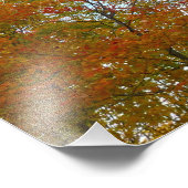 Op zoek naar valleien Ik kleurrijke Herfst Foliage Foto Afdruk (Hoek)