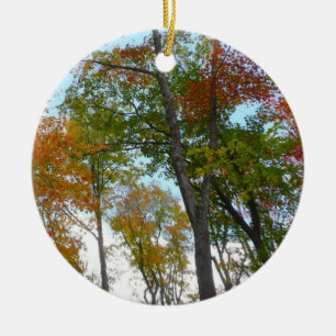 Op zoek naar valleien Ik kleurrijke Herfst Foliage Keramisch Ornament