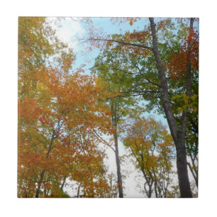 Op zoek naar valleien Ik kleurrijke Herfst Foliage Tegeltje