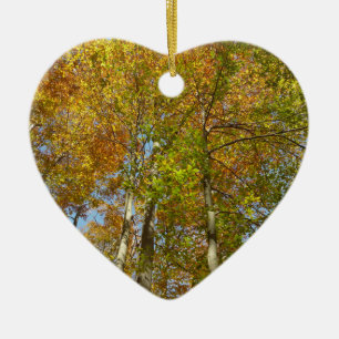 Op zoek naar volledige bladeren III kleurrijke oli Keramisch Ornament