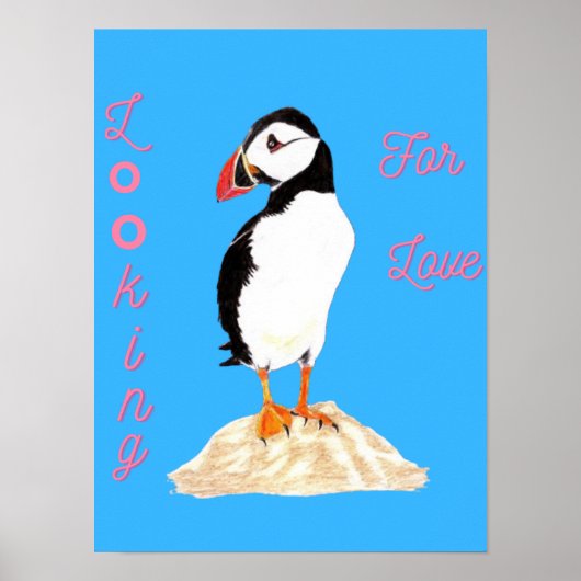 Op zoek naar wat liefde Puffin Poster (Voorkant)