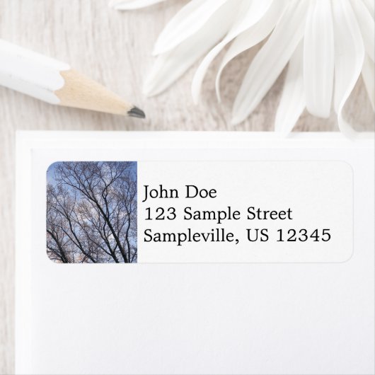 Op zoek naar winterochtendbomen etiket (Insitu)