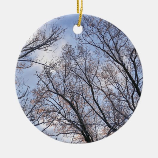 Op zoek naar winterochtendbomen keramisch ornament (Voorkant)
