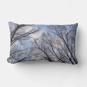 Op zoek naar winterochtendbomen kussen