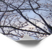 Op zoek naar winterochtendbomen poster (Hoek)