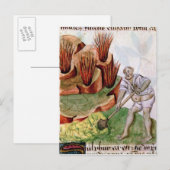 Op zoek naar zwavel, dioscorides' 'De Herbis' Briefkaart (Voorkant / Achterkant)