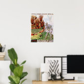 Op zoek naar zwavel, dioscorides' 'De Herbis' Poster (Thuiskantoor)