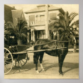 op zondag poster (Voorkant)