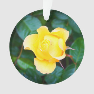 Op zonneschijn Roos lopen #1 Ornament