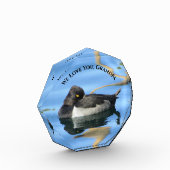 Opa Black White Duck Photo Reflection Natuur Fotoblokken (Links)