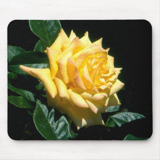 Opa Dickson Muismat (Voorkant)