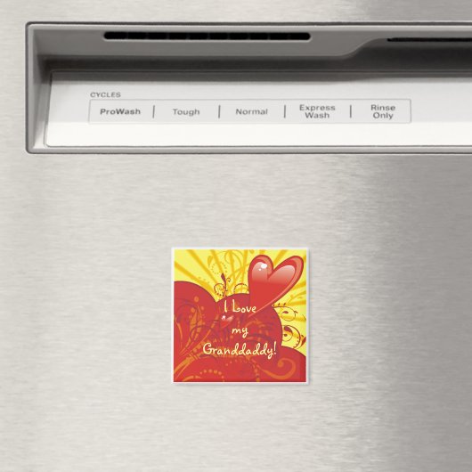 Opa Magneet (Insitu (Vaatwasser))