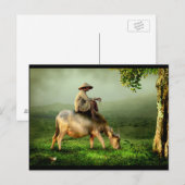 Opa Ontspannen op zijn Buffalo Briefkaart (Voorkant / Achterkant)