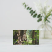 Opa visitekaartjes Redwood Bomen (Staand voorkant)