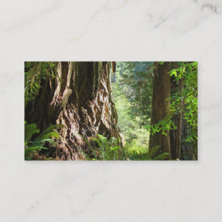 Opa visitekaartjes Redwood Trees