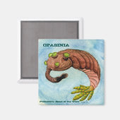 Opabinia magneet (Voorkant / Achterkant)