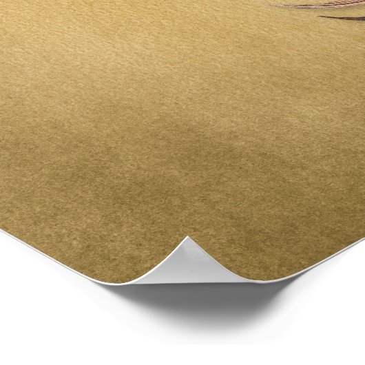  Opah Fish Illustration 1800s Poster (Hoek)