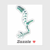 Opal Iguanodon Dinosaur Sticker (Vel)