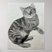 Opal (kat) - Print (Voorkant)