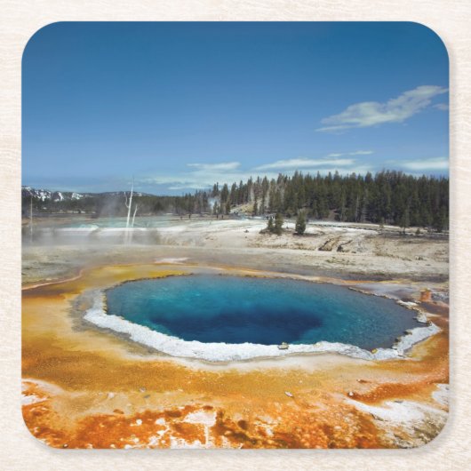 Opal pool kartonnen onderzetters (Voorkant)