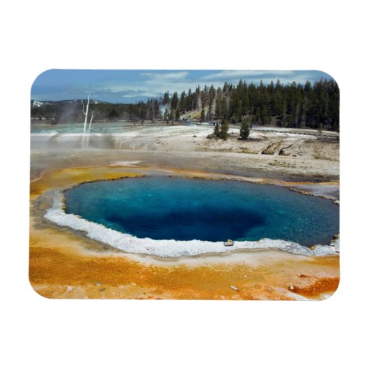 Opal Pool Magneet (Horizontaal)