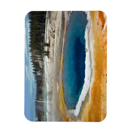 Opal Pool Magneet (Verticaal)
