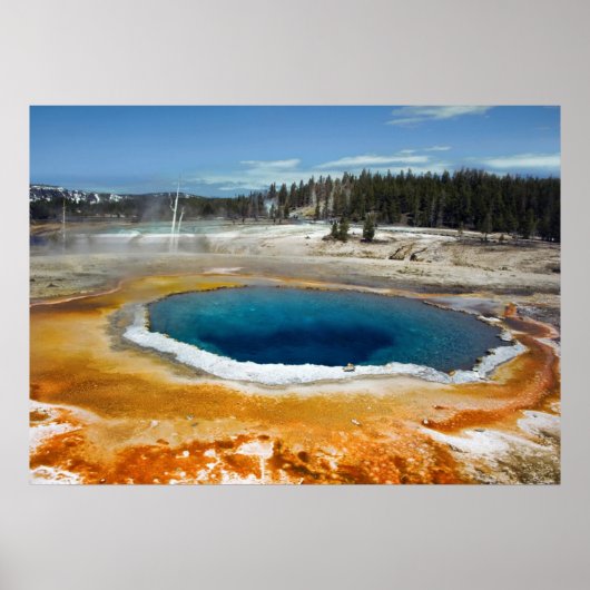 Opal Pool Poster (Voorkant)