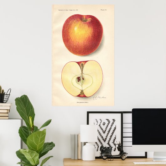  Opalescent Apple Poster (Thuiskantoor)