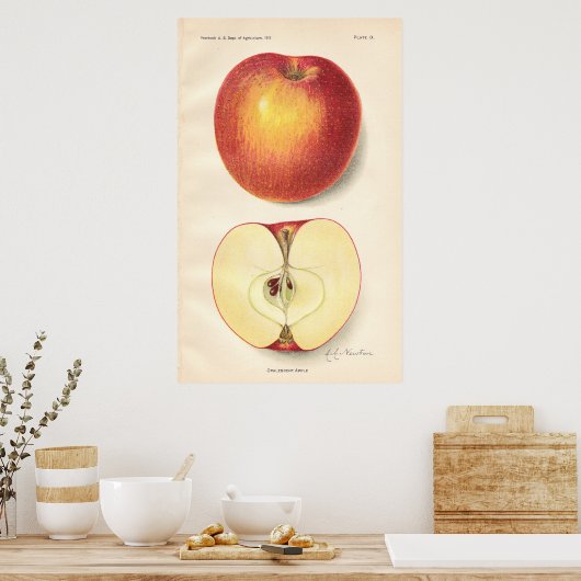 Opalescent Apple Poster (Keuken)