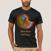 Opalized Sfenodiscus Ammonite Shell T-shirt (Voorkant)