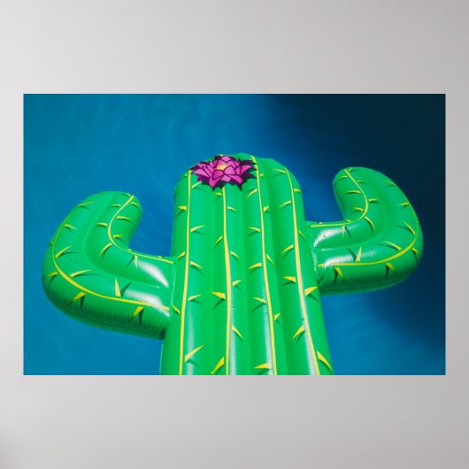 Opblaasbare cactusboei poster (Voorkant)