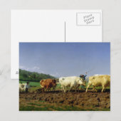 Opblazen in Nivernais, 1849 Briefkaart (Voorkant / Achterkant)