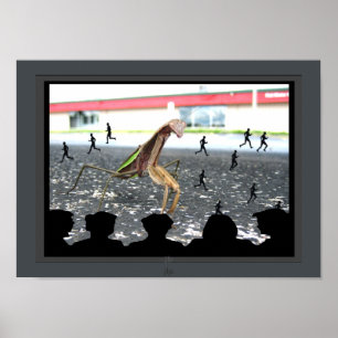 Opbrengst van het Praying Mantis-Monster Movie Pos Poster