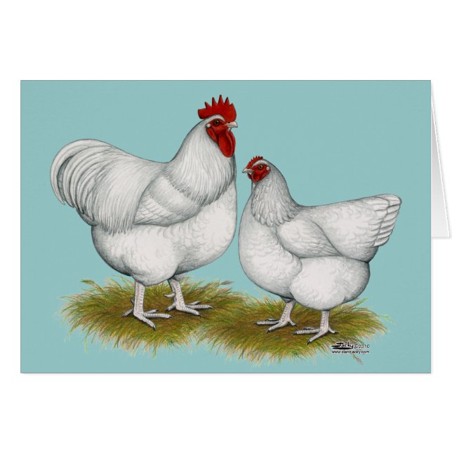 Opeens: White Pair (Voorkant Horizontaal)