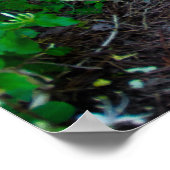 Opel GT Poster (Hoek)