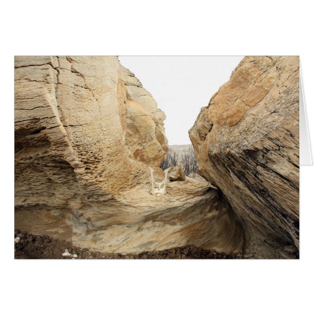 Open (Voorkant Horizontaal)