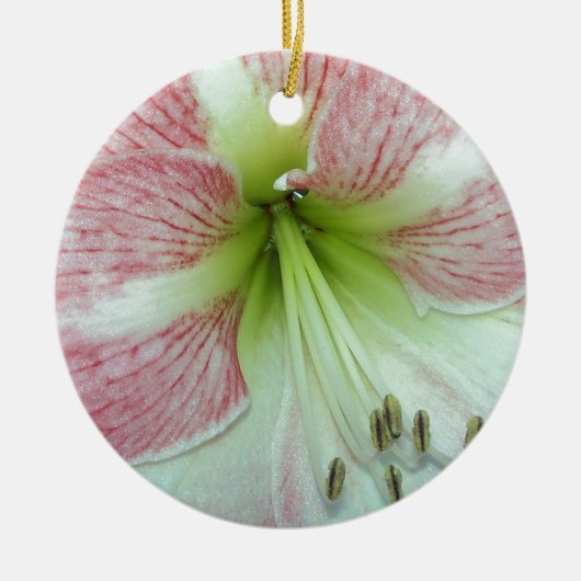 Open Amaryllis Appelbloesem Keramisch Ornament (Voorkant)