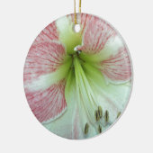 Open Amaryllis Appelbloesem Keramisch Ornament (Links)