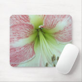 Open Amaryllis Appelbloesem Muismat (Met muis)